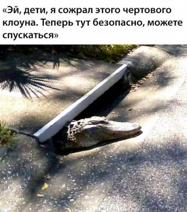 Свежие фотомемы на Бугаге (24 шт)