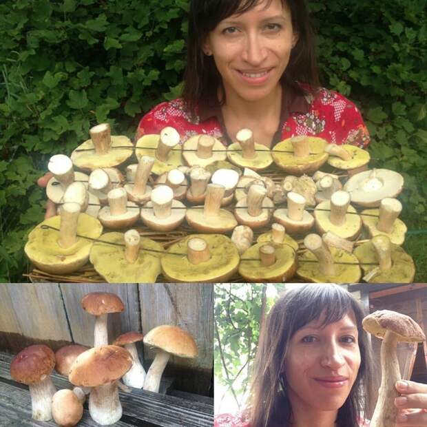 Актриса Елена Борщёва: "Зимой грибной салат обеспечен" грибы, знаменитости, лес, осень