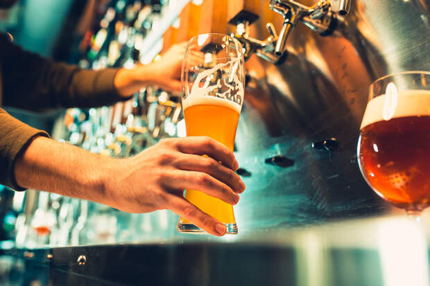 Раскрыта неожиданная польза пива для здоровья