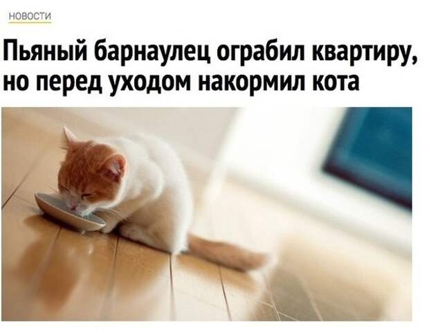 Смешные картинки с надписями прикол, юмор