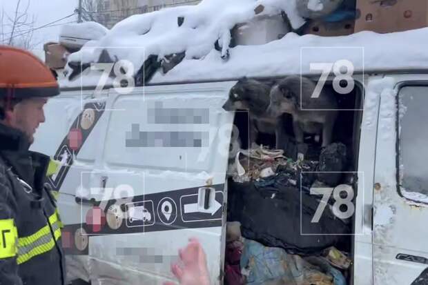 Спасатели освободили замученных собак из замерзшего фургона в Петербурге