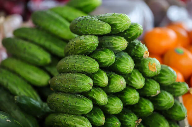 Огурцы подорожали до 700 рублей за килограмм