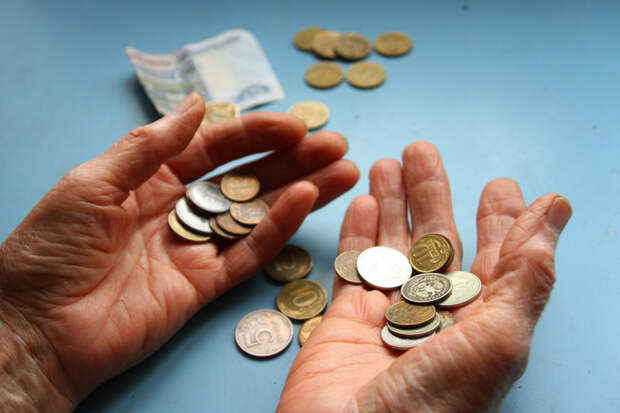 Новосибирцы собрали 13 тонн денег за «Монетную неделю»