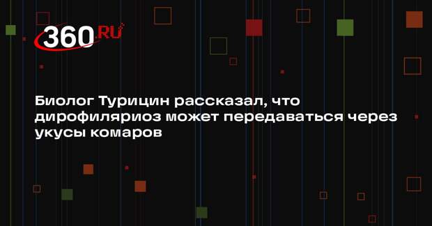 Биолог Турицин рассказал, что дирофиляриоз может передаваться через укусы комаров