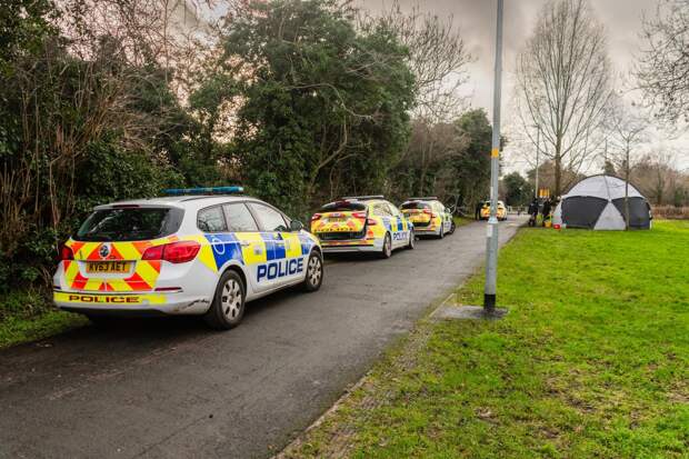 Девочка нашла человеческие останки по пути на урок физкультуры