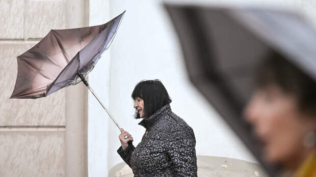 Синоптик Позднякова назвала причины резкого похолодания в Москве