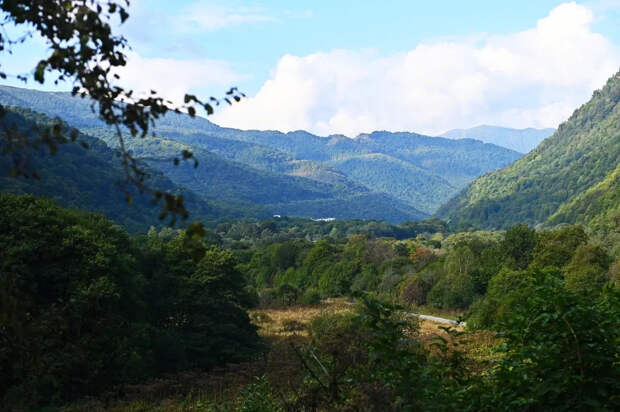 Перебои со светом и хачапури за тысячу: почему русские бегут из Грузии