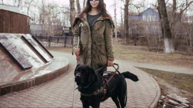 Проводник