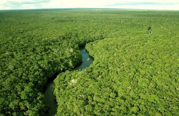 Amazonas01 Amazonas01 Большое фотопутешествие по лесам Амазонки