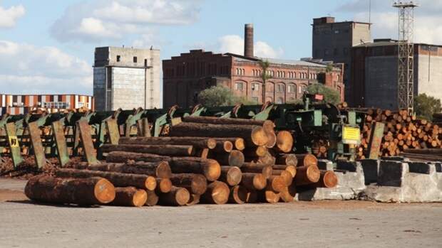 Семилетнюю девочку насмерть придавило бревнами в Чувашии