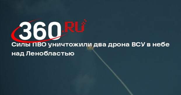 Силы ПВО уничтожили два дрона ВСУ в небе над Ленобластью