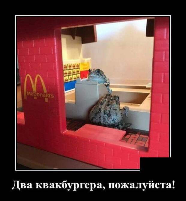 demotivatory-demotivator-smeshnye-demotivatory-demotivator-so-smyslom