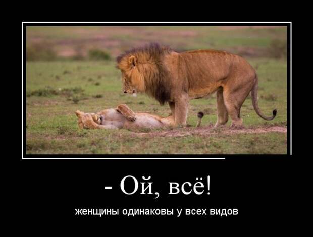 www.vsyako.net