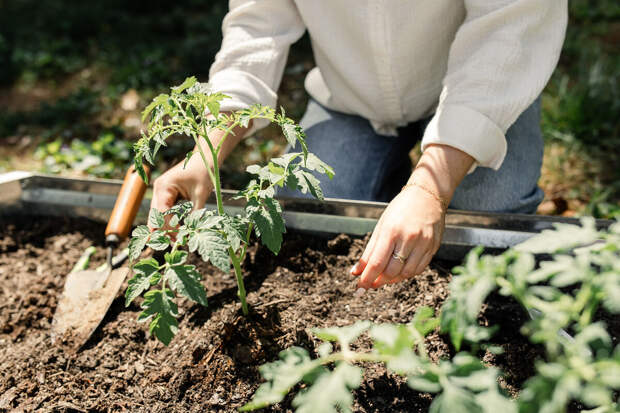 Врач Поздняков: в дачный сезон возрастает риск столкнуться с инфекциями