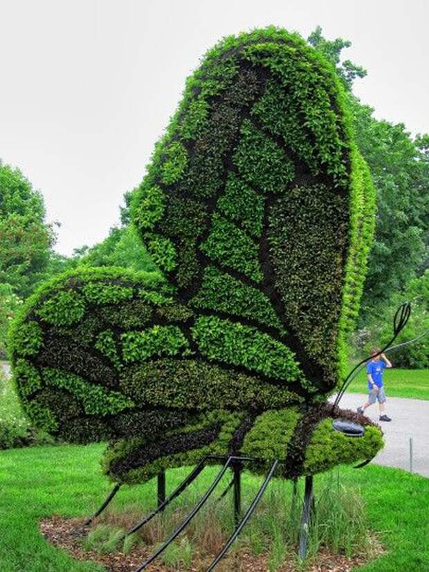 Впечатляющее топиарное искусство  скульптуры, растения