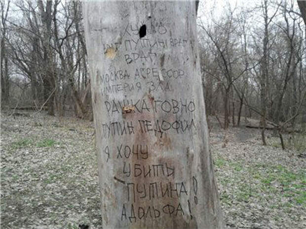 557072c09abd.jpg