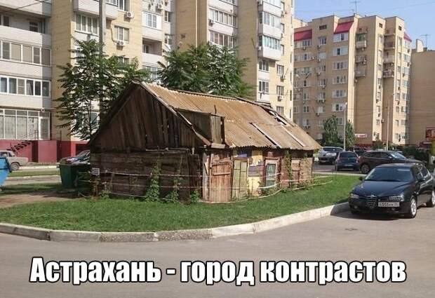 Прикольные картинки