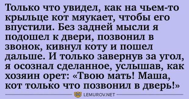 Новая подборка угарного юмора для отличного выходного настроения! Новая подборка угарного юмора для отличного выходного настроения!