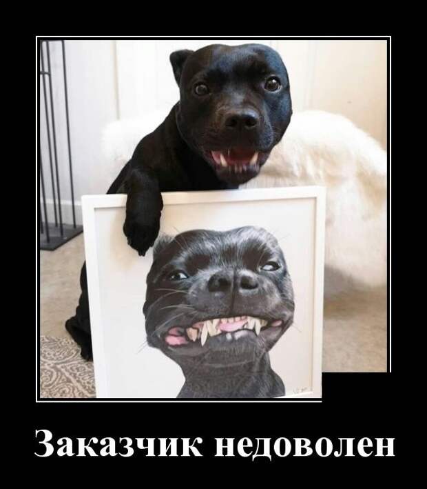 Демотиваторы (30 фото)