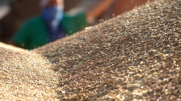 В МИД Израиля назвали бездоказательными обвинения Украины по закупке зерна