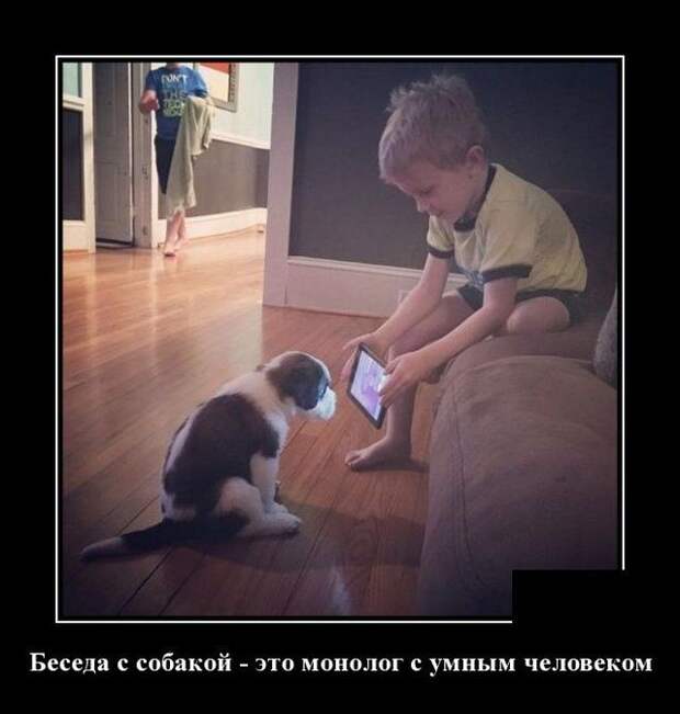 demotivatory-demotivator-smeshnye-demotivatory-demotivator-so-smyslom