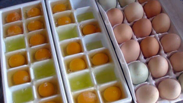 egg06