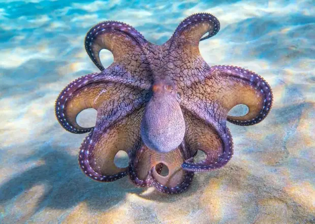 14 фото National Geographic, которые подтверждают уникальность нашего мира