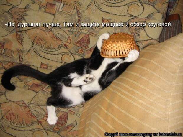Мысли вслух :)