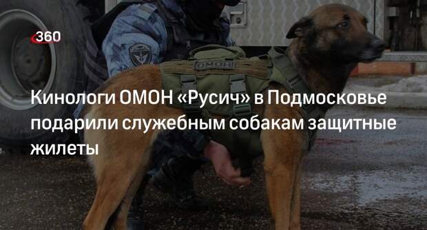 Кинологи ОМОН «Русич» в Подмосковье подарили служебным собакам защитные жилеты