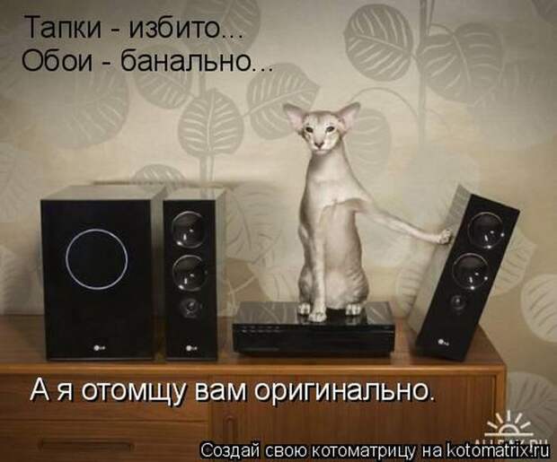 Мысли вслух :)