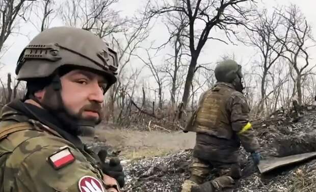 Польские гусята