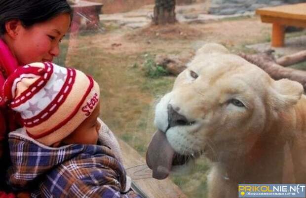 Фотографии, способные пробудить эмоции в любом человеке