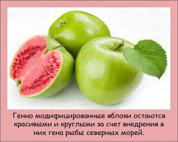 Интересные факты (20 фото)