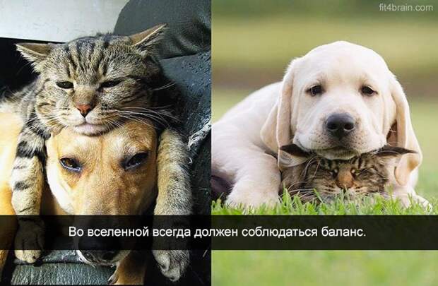 Картинки с хорошим настроением