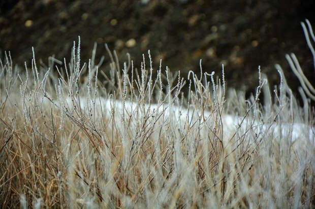 Погода 28 апреля: ночью до -1