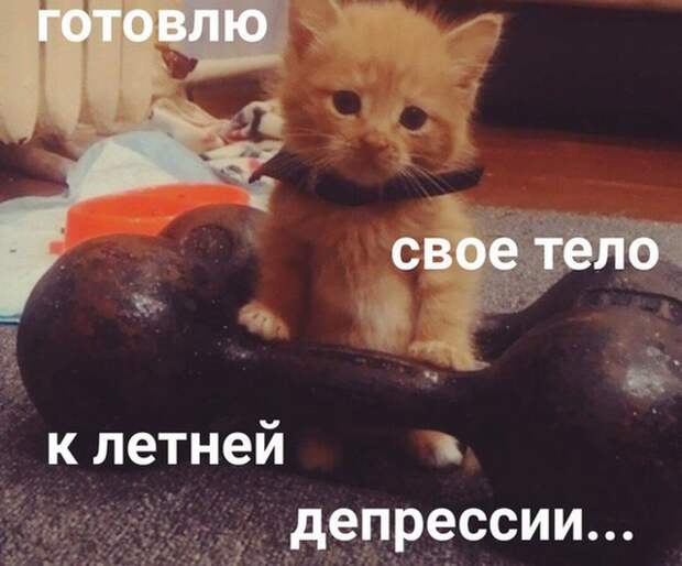 www.vsyako.net