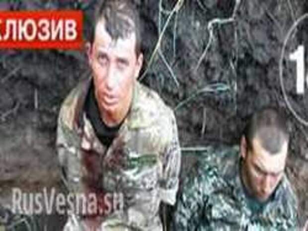 2/3 батальона "Львов" сбежали по дороге в Донбасс 2/3 батальона "Львов" сбежали по дороге в Донбасс