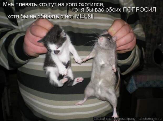 Мысли вслух :)