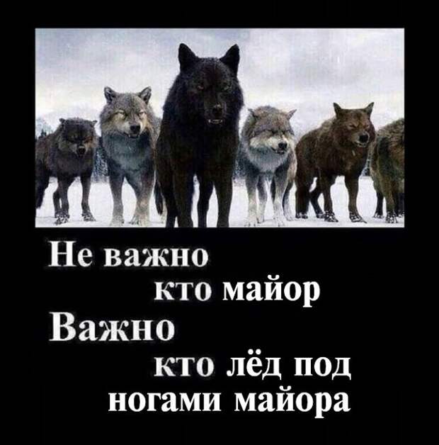 www.vsyako.net