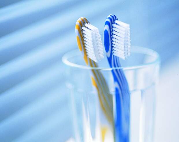 Зубные щетки нужно менять раз в три месяца. / Фото: mota.ru