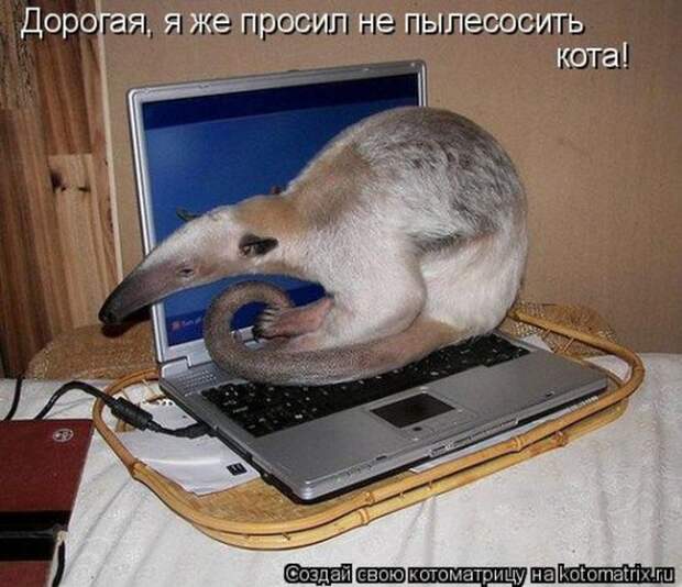 Мысли вслух :)