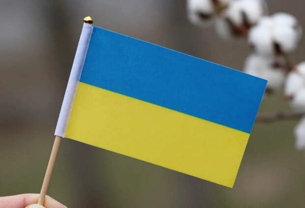 Не ответивший на вопрос "Чей Крым?" литовский чиновник поедет работать на Украину