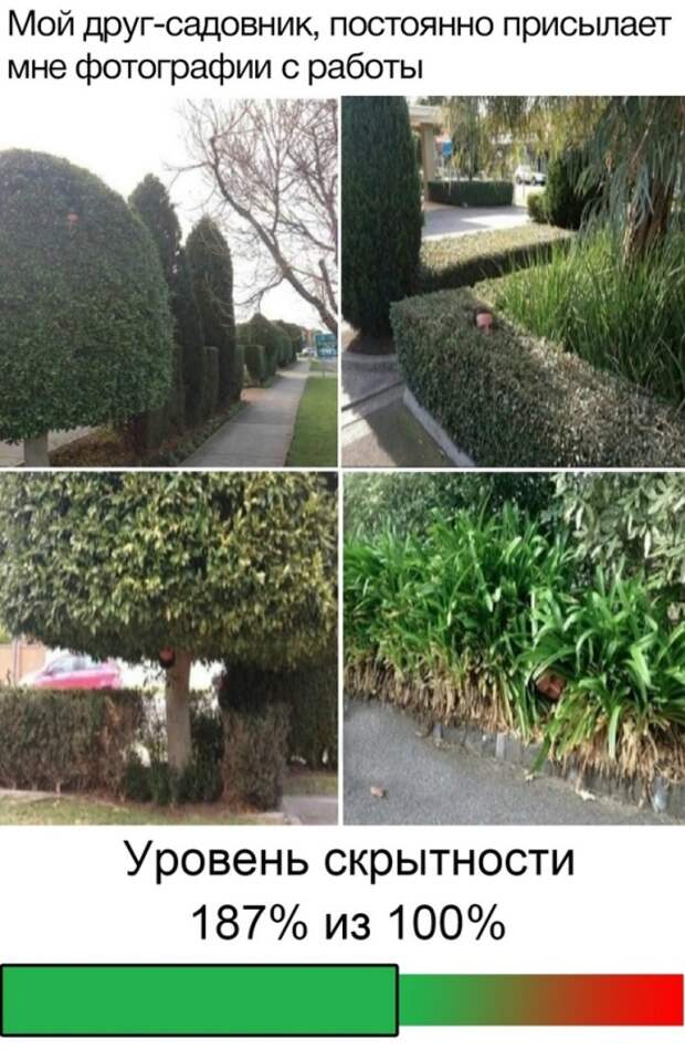 Подборка прикольных фото