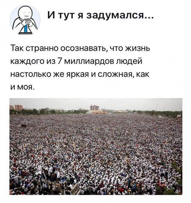 205895_13_trinixy_ru.jpg