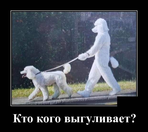 Демотиваторы 30 июля 2021