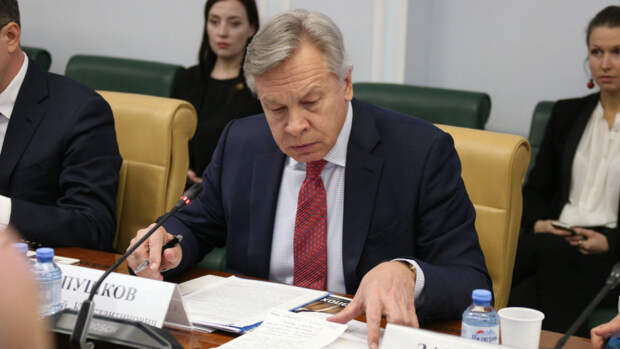Сенатор Пушков назвал неполной картиной критику советской власти Чубайсом