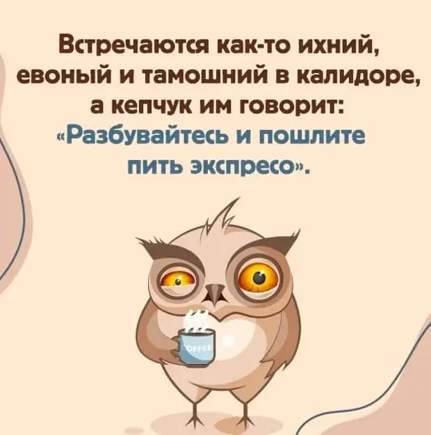       ,  ,   ,    ...