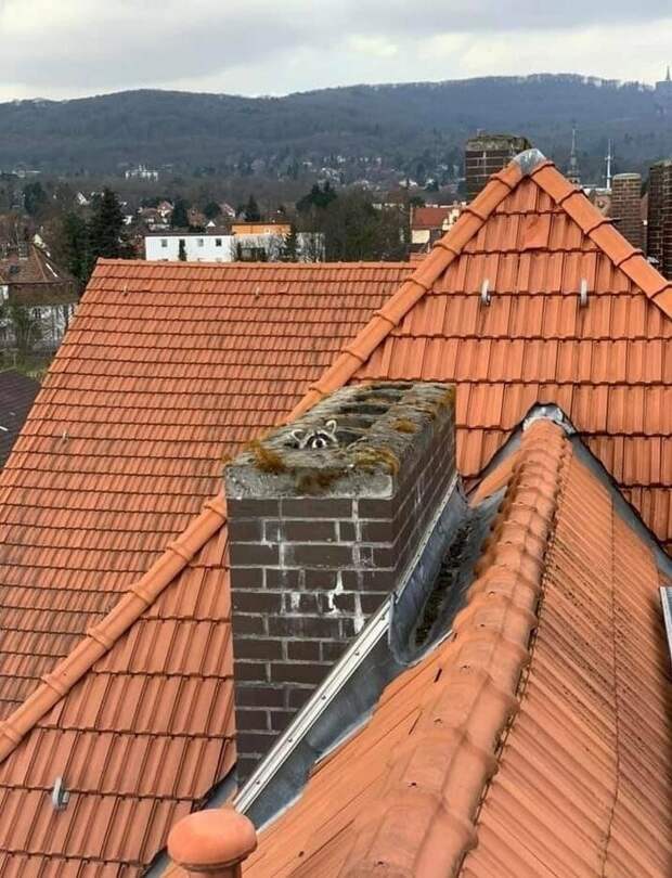 Это у них, видимо, хобби такое Это у них, видимо, хобби такое