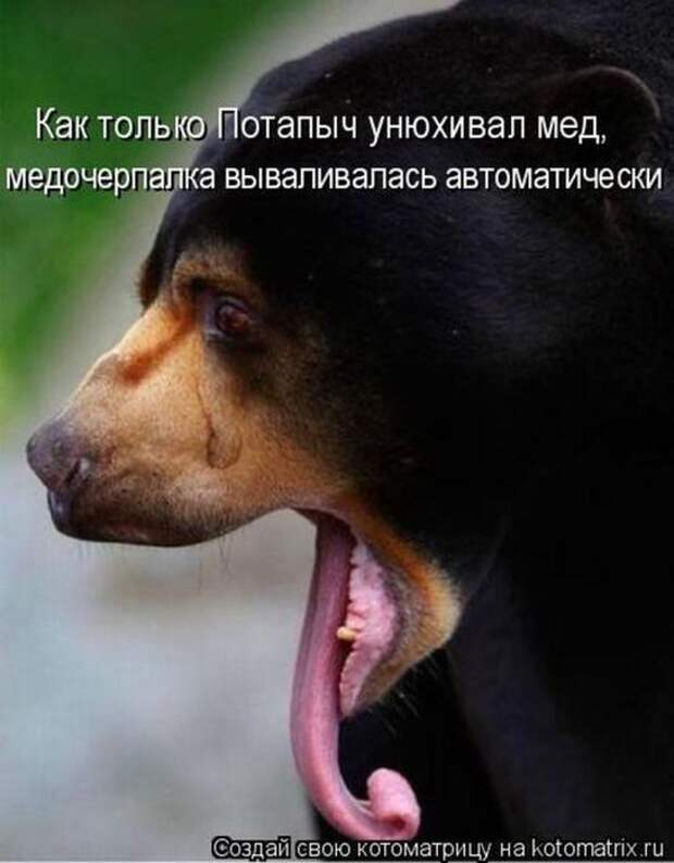 Мысли вслух :)