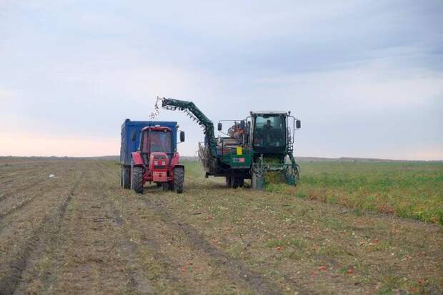 Астраханская область оказалась в лидерах по приросту числа фермеров